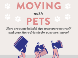 Chris Estevez Realtor Moving with Pets-THUMBS