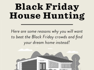 chris-estevez-realtor-Black friday house hunting-THUMB